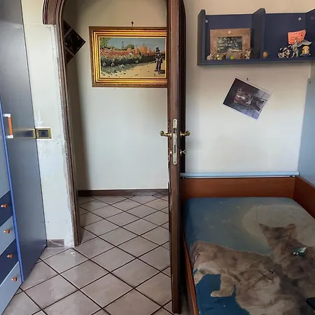 Meucci House Lägenhet Rom